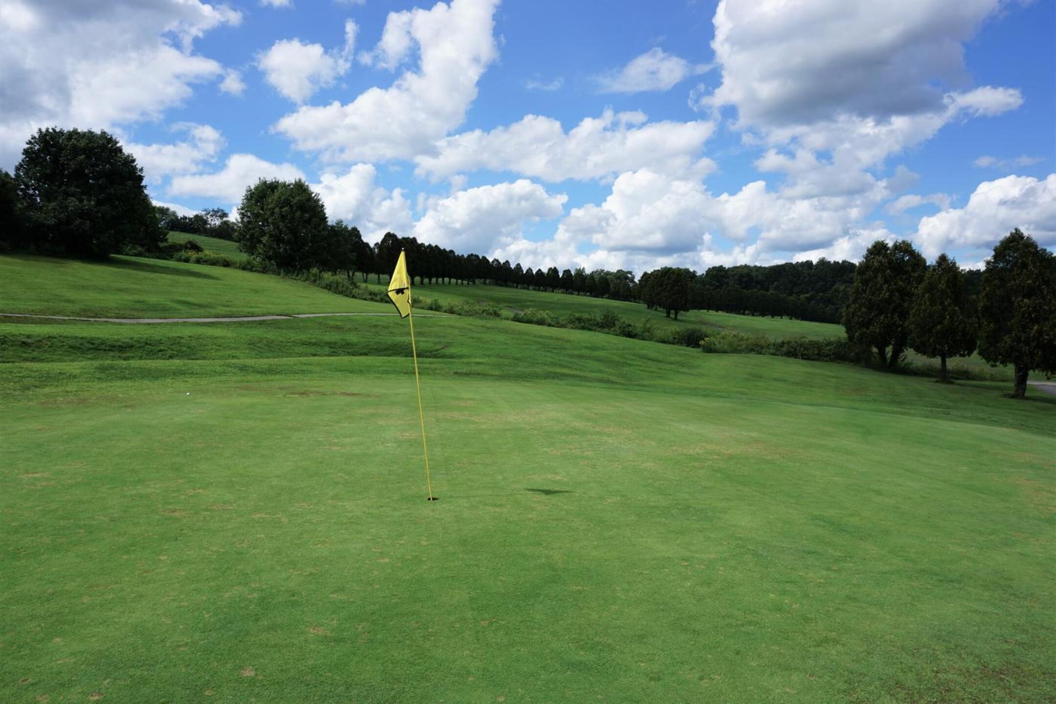 The fourth is a strong par-4 playing downhill to the putting surface. (Photo submitted by AptlyLinked on 08/21/2021)