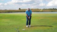 Hybrid or Putter?
