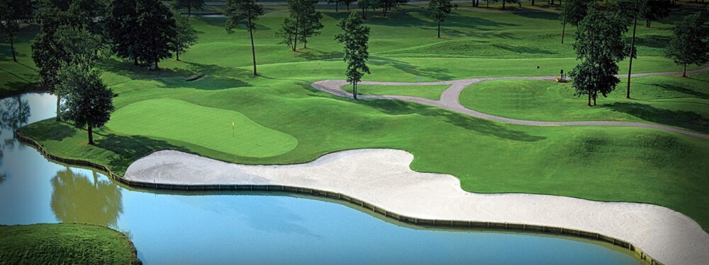 Black Bear touted "18 holes immersed in nature." Now that's truer than ever, as the course one of several to close in Myrtle Beach recently.