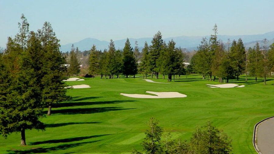 Foxtail GC