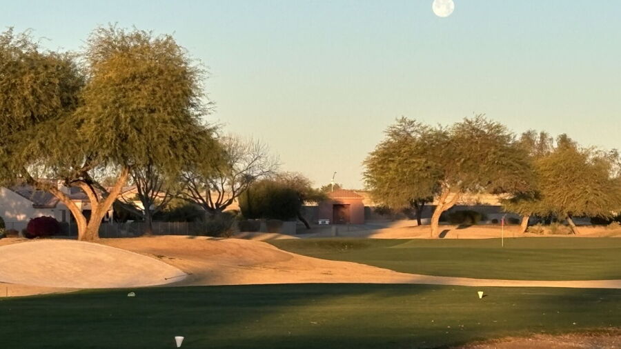 Desert Springs GC: #14