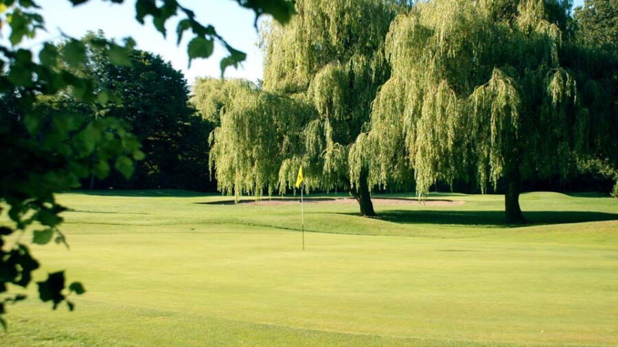 Coombe Wood: 17th green