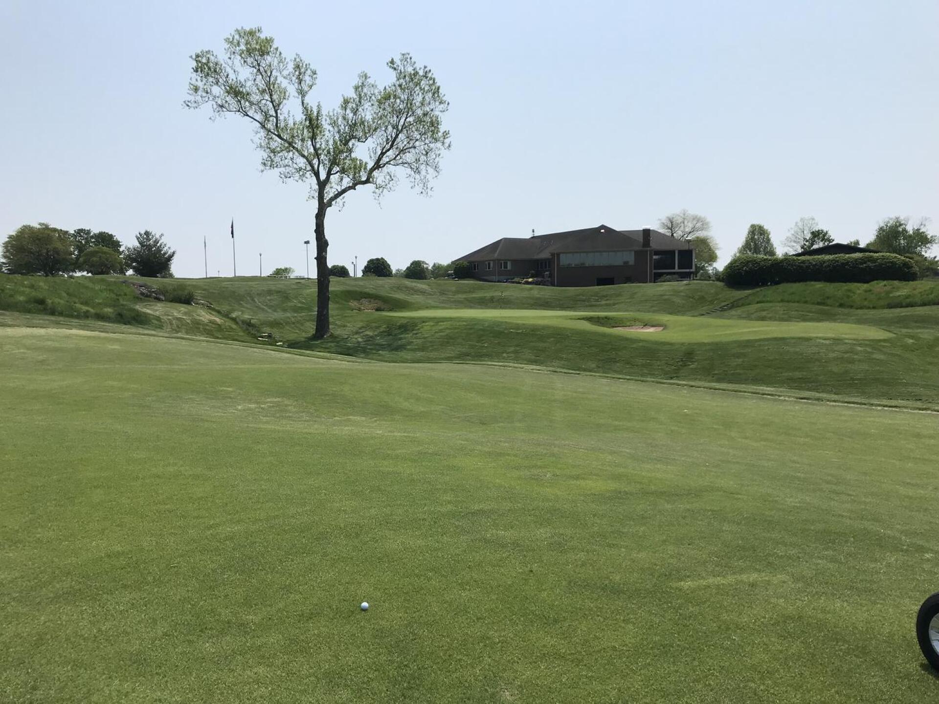 Hole 13 With Tree Limbs Trimmed (Photo submitted by lcbgolf on 05/12/2022)
