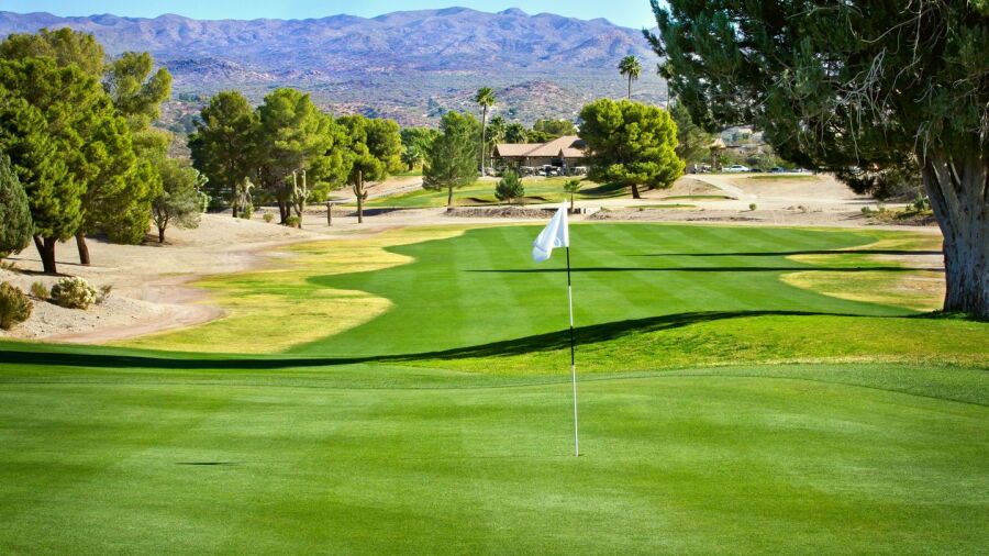 Wickenburg CC: #12