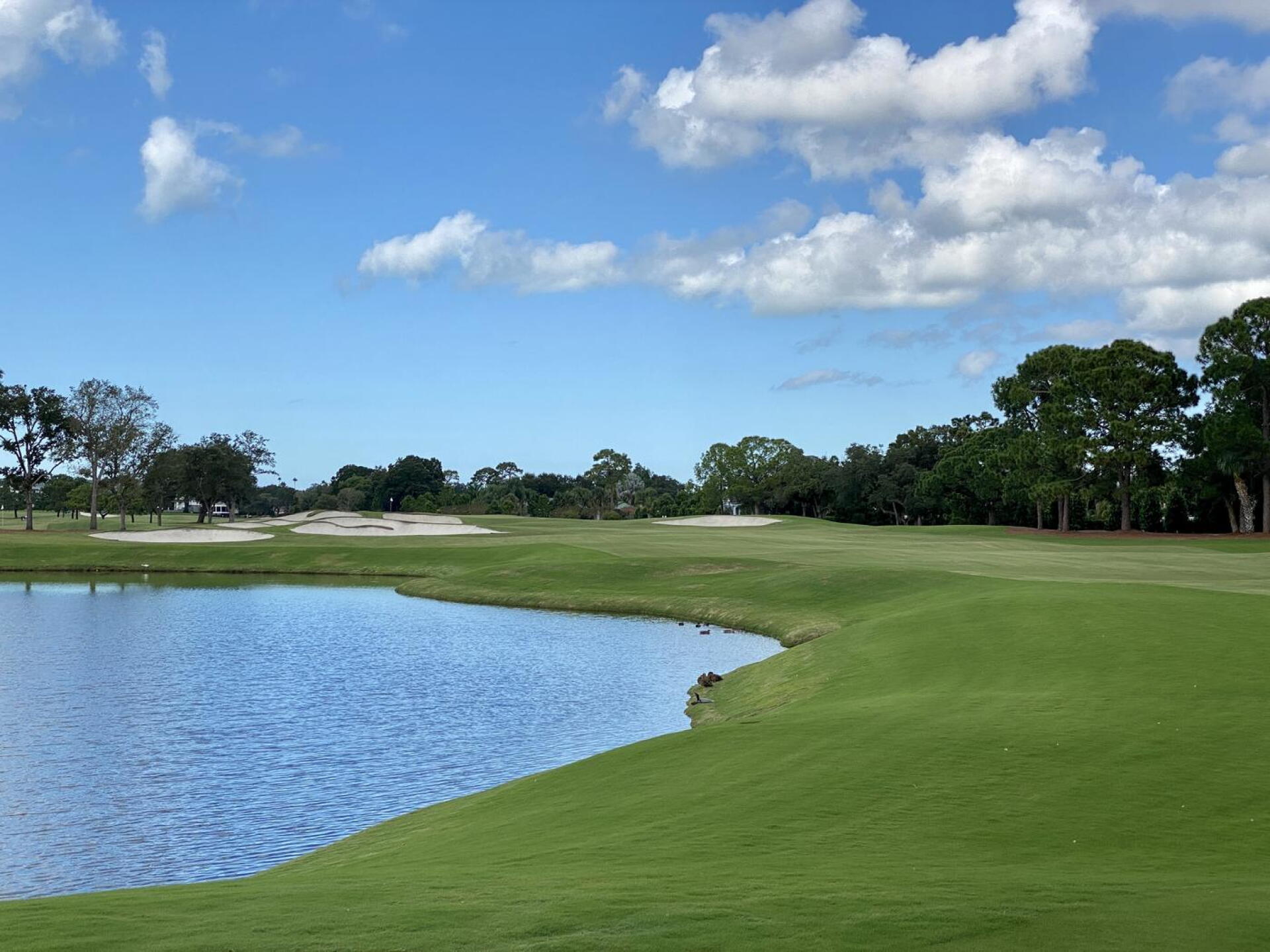 Pelican Golf Club, hole 17 (Photo submitted by TimGavrichGP on 11/05/2021)