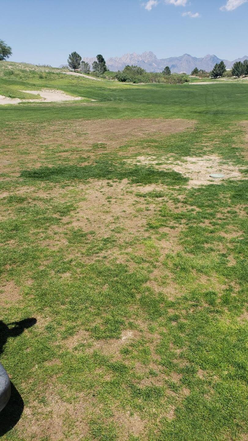 (Photo submitted by mbarrett28 on 07/09/2021)