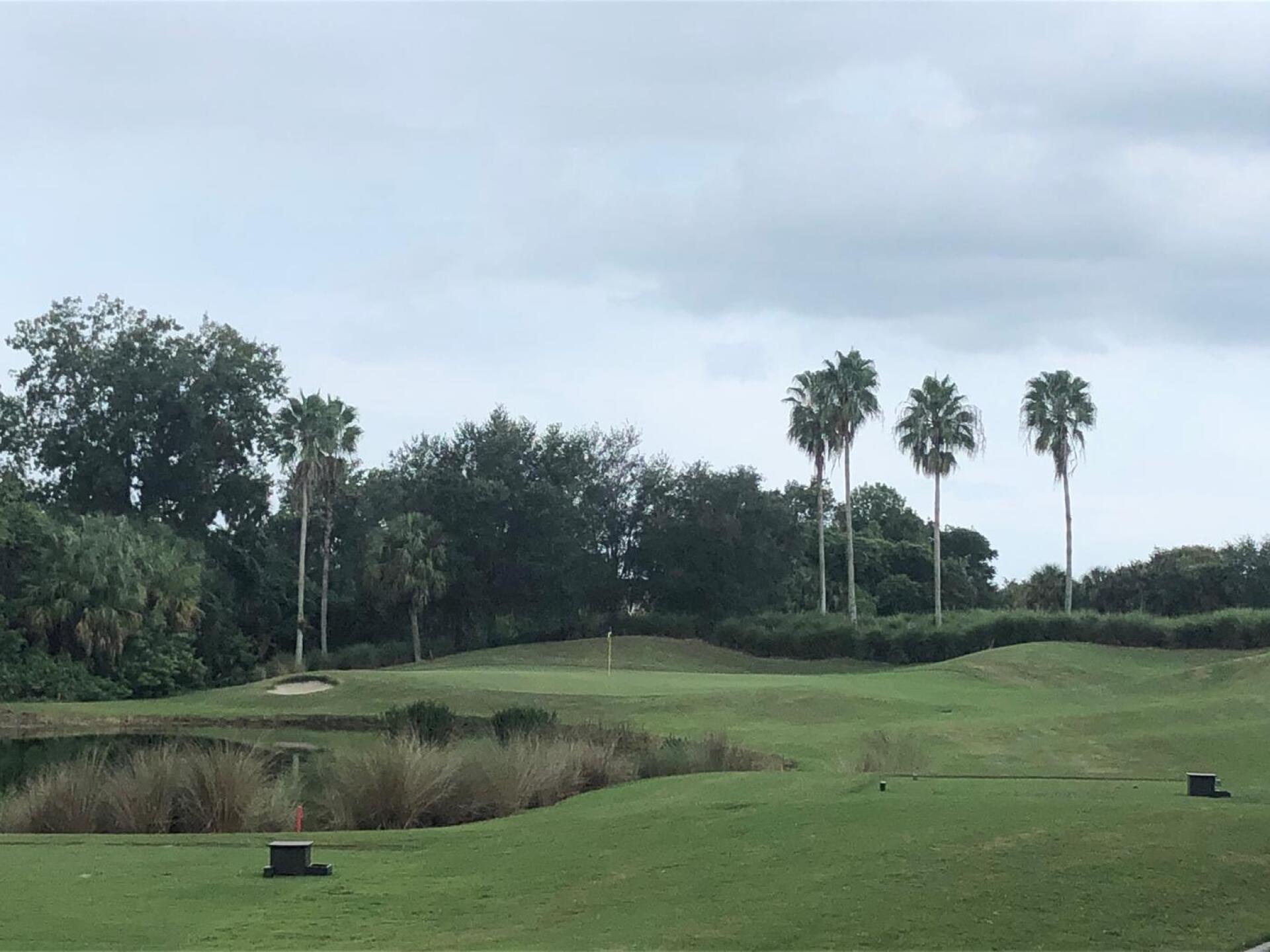 (Photo submitted by BryanTweed16 on 09/30/2020)