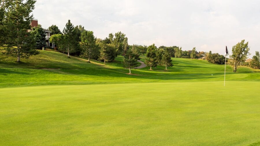 Eaglewood GC