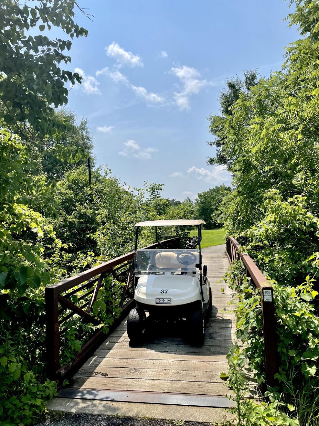 (Photo submitted by MiggyTG5 on 07/08/2021)