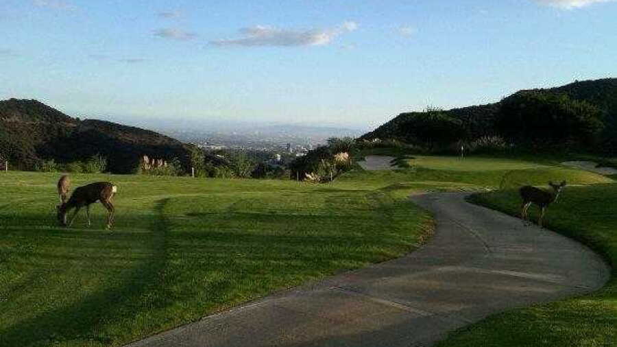 South at Mountain Gate CC: #3