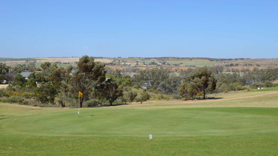 Mannum GC