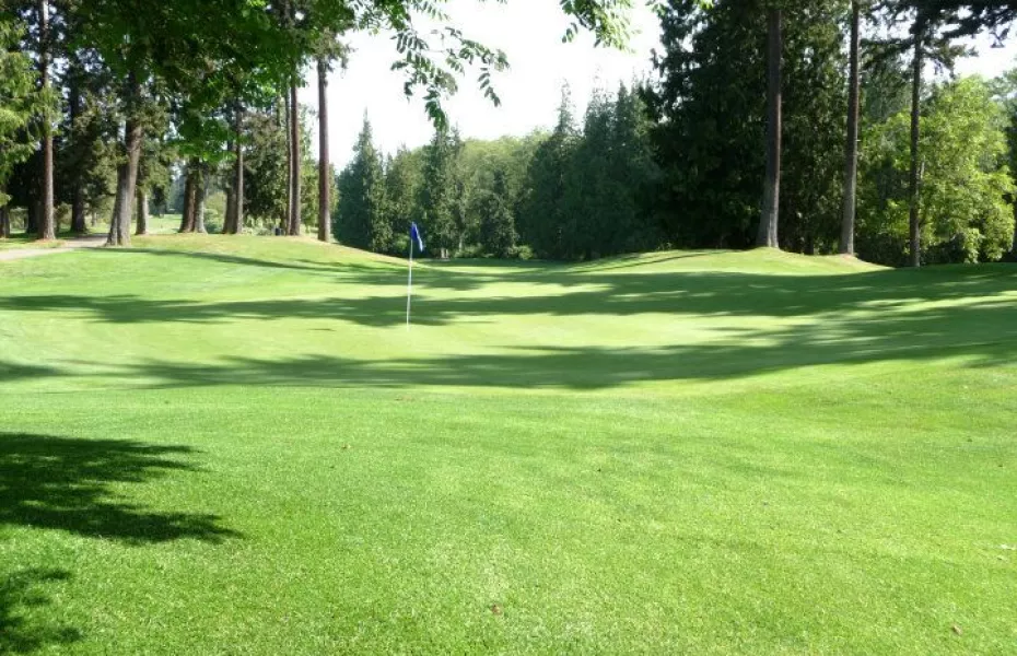 Cedars at Dungeness: #18