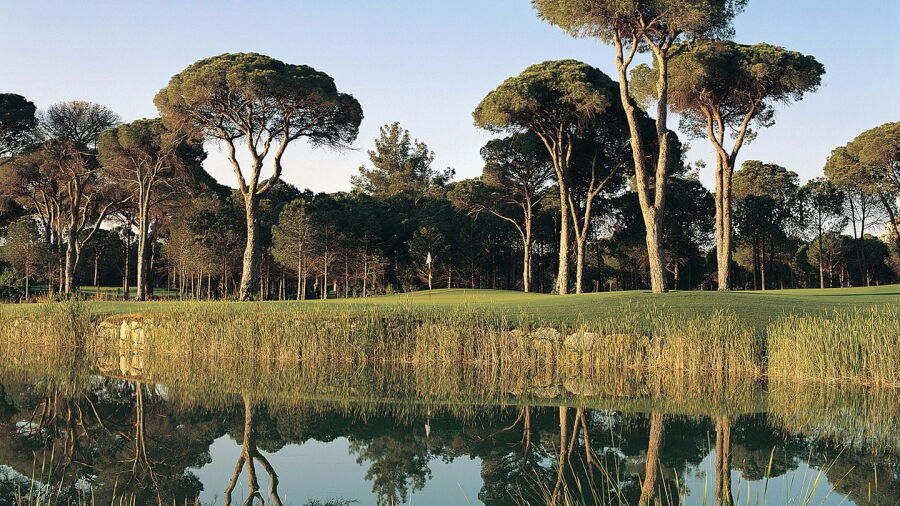 Cornelia GC