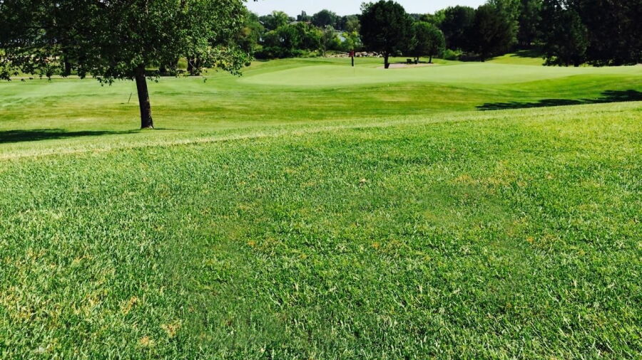 Lakeview GC