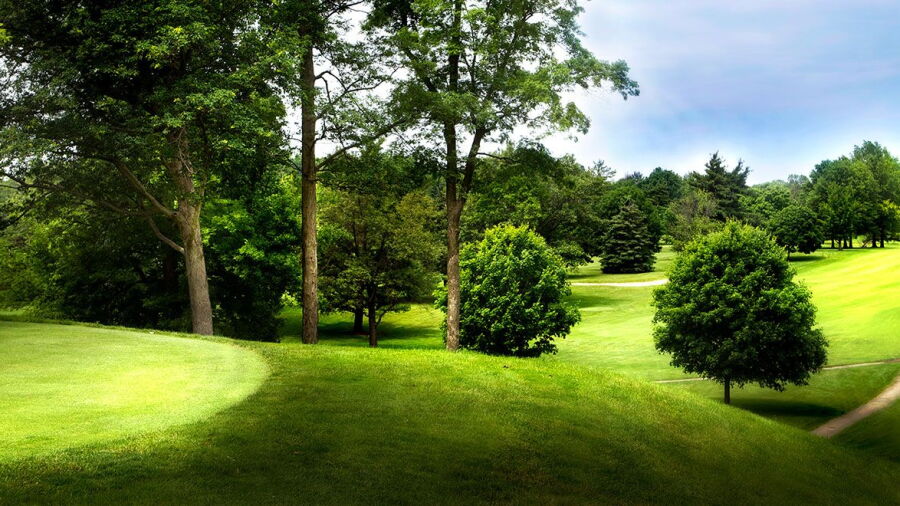Delaware CC