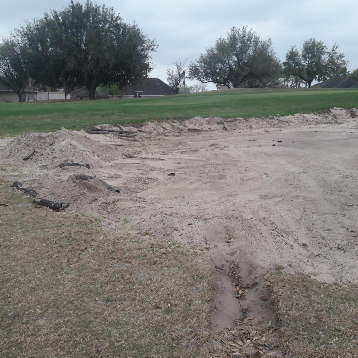 (Photo submitted by vicakin on 03/14/2021)