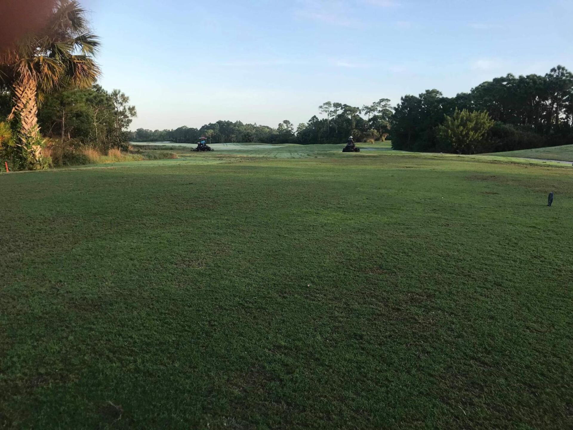 (Photo submitted by u000006245542 on 10/29/2019)