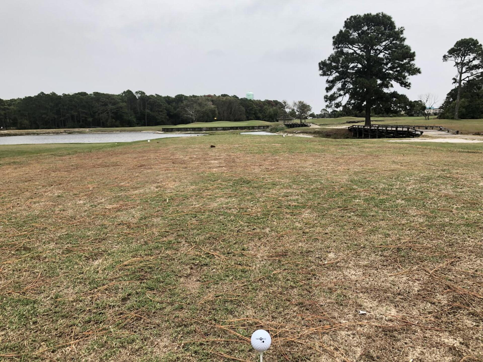 Island Green (Photo submitted by GolfUMK on 11/11/2022)