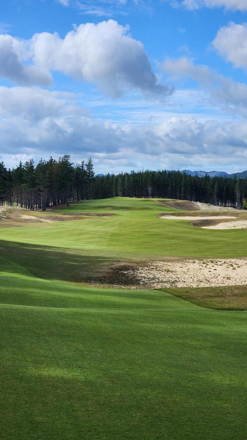 (Photo submitted by nickng316 on 03/18/2024)