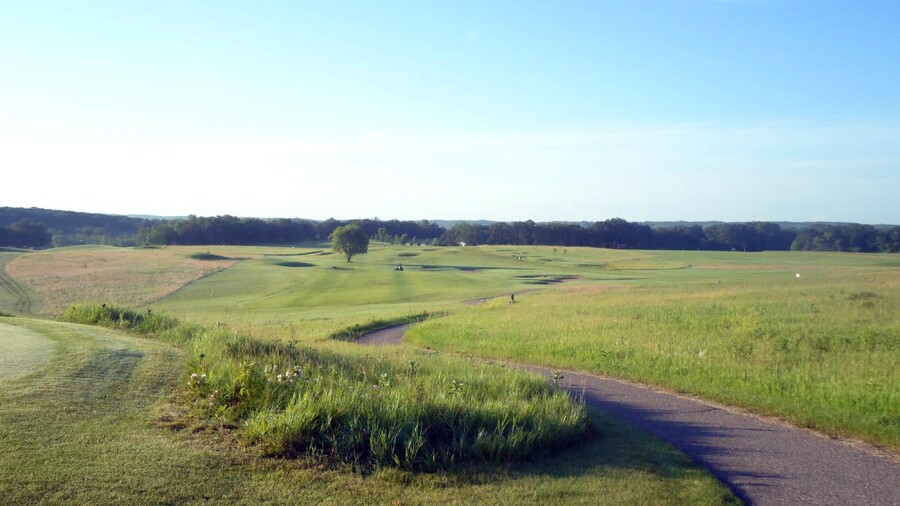 Wildflower at Fair Hills golf course - Minnesota 