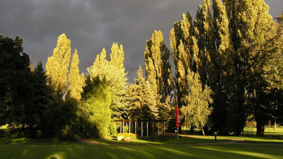 Piestany GC: Practice area