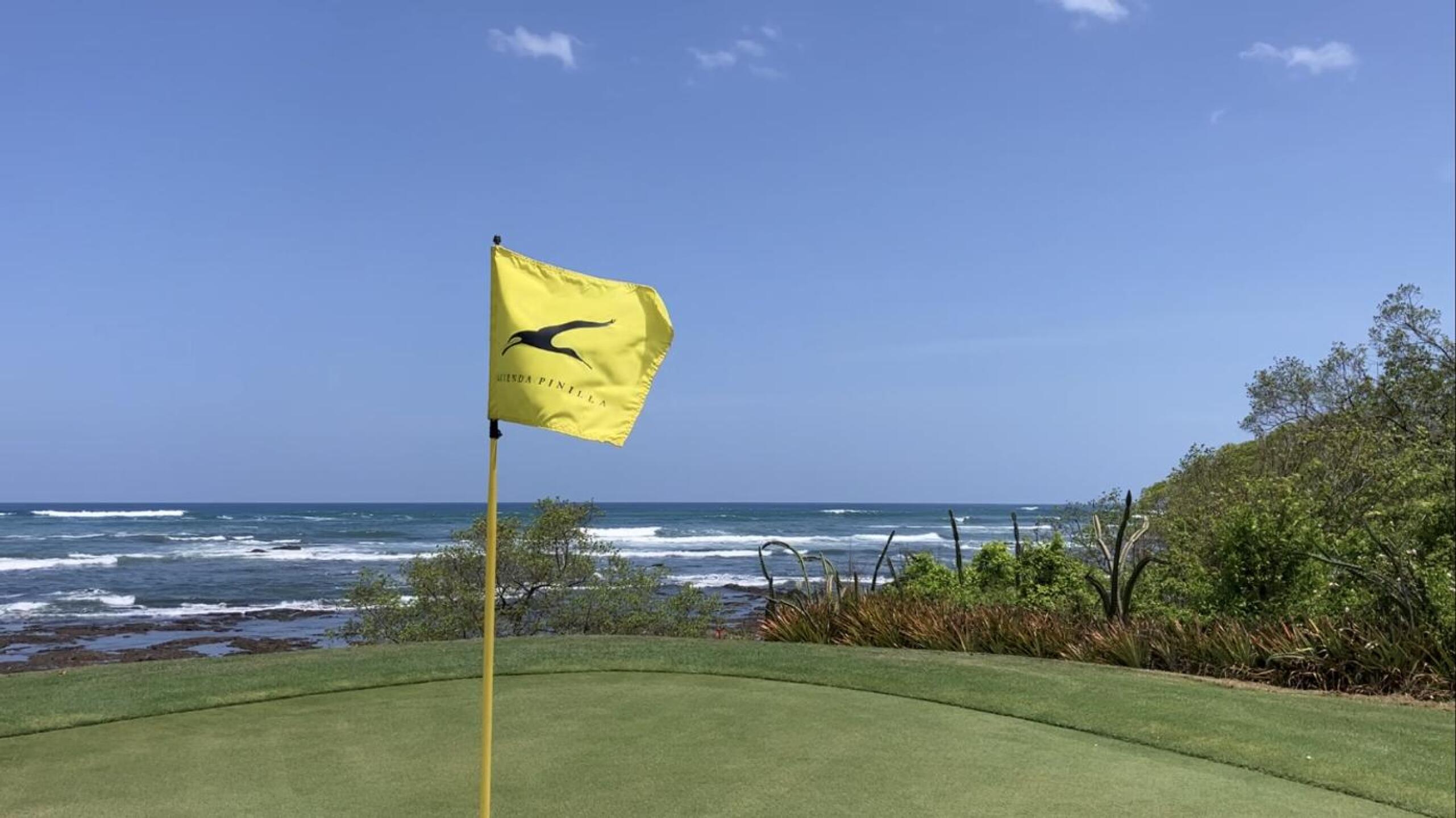 (Photo submitted by BrandonWebb on 06/13/2024)