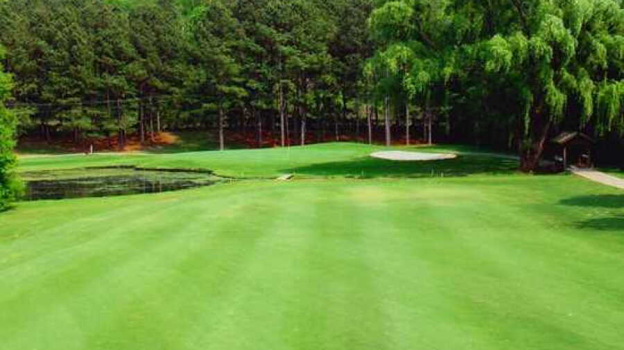 Cleveland CC: #11