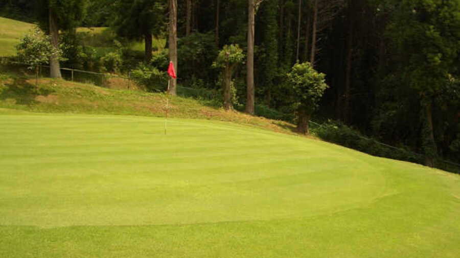 Technical Sanwa Golf: #15