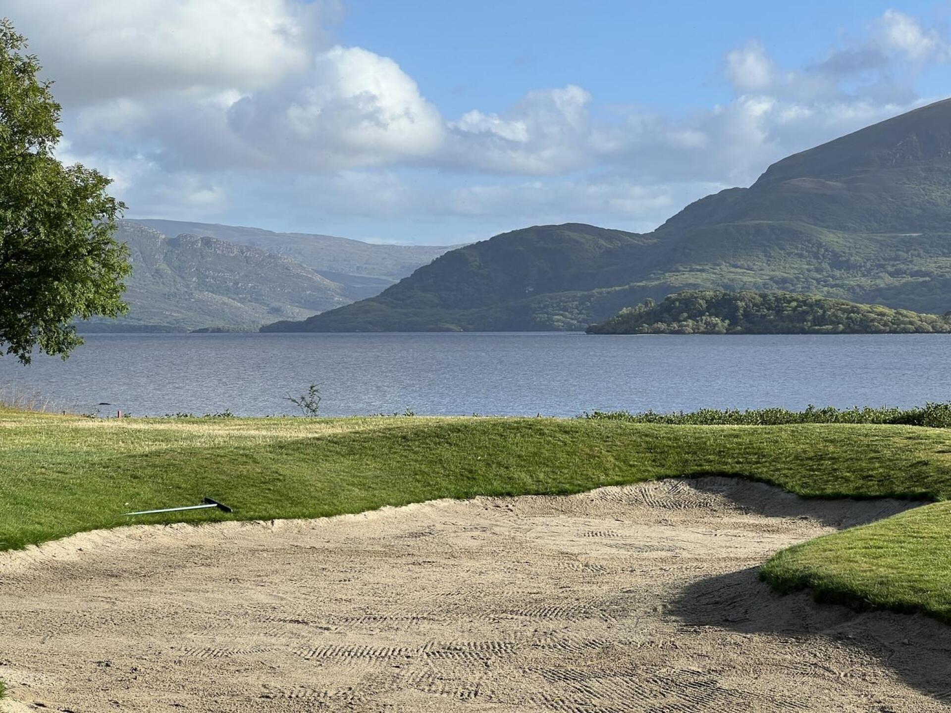 (Photo submitted by peRPE7qGsZ29asfte5Xe on 08/14/2024)