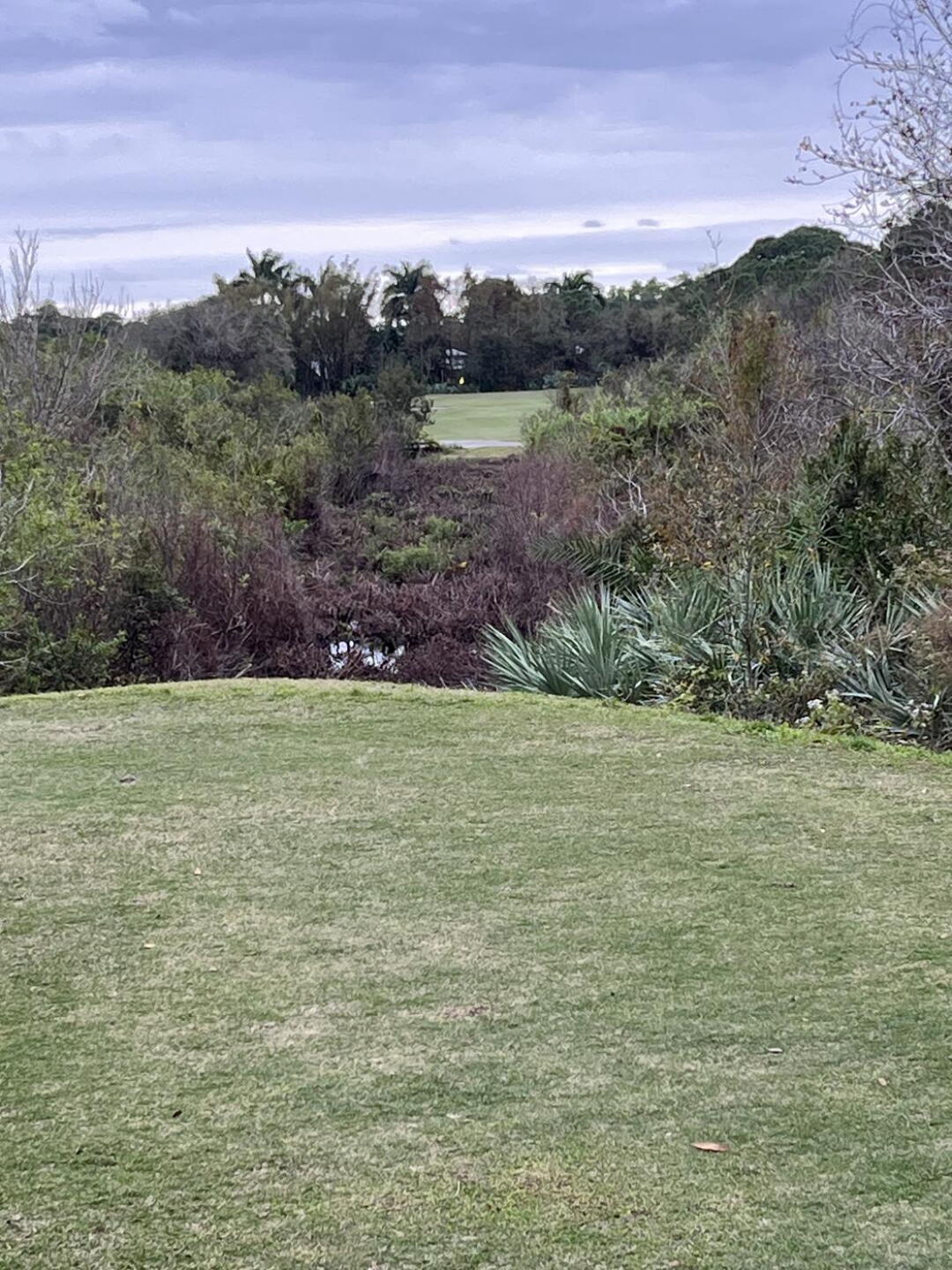 Tee shot yellow (Photo submitted by u348630510 on 01/08/2024)