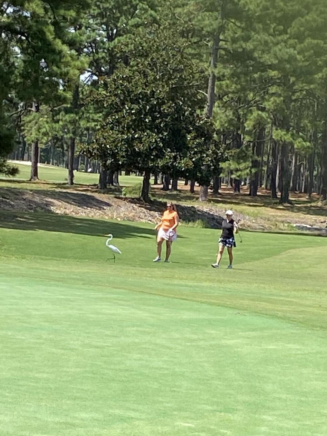 (Photo submitted by u314162229119 on 09/06/2022)