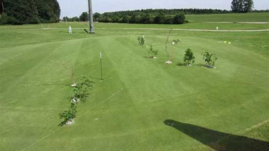 Berchtesgadener G & CC: putting green