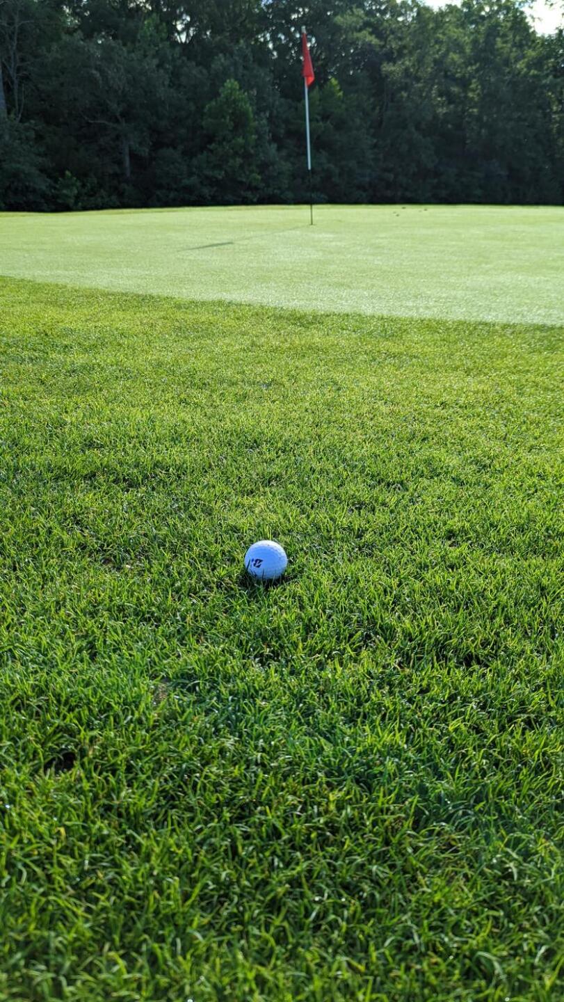 Around the green (Photo submitted by JayEmm on 08/02/2022)