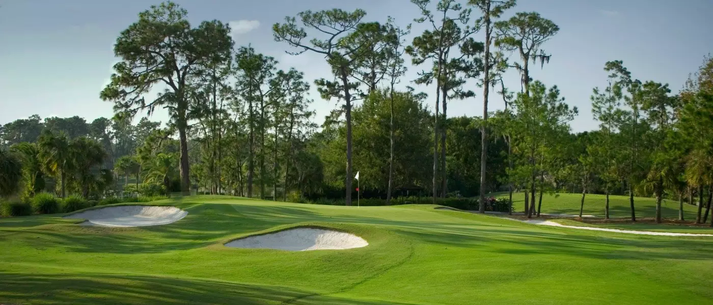 Saddlebrook Palmer Course