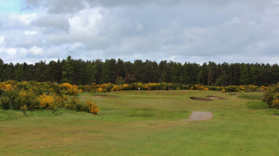 Tain Golf Club - hole 5