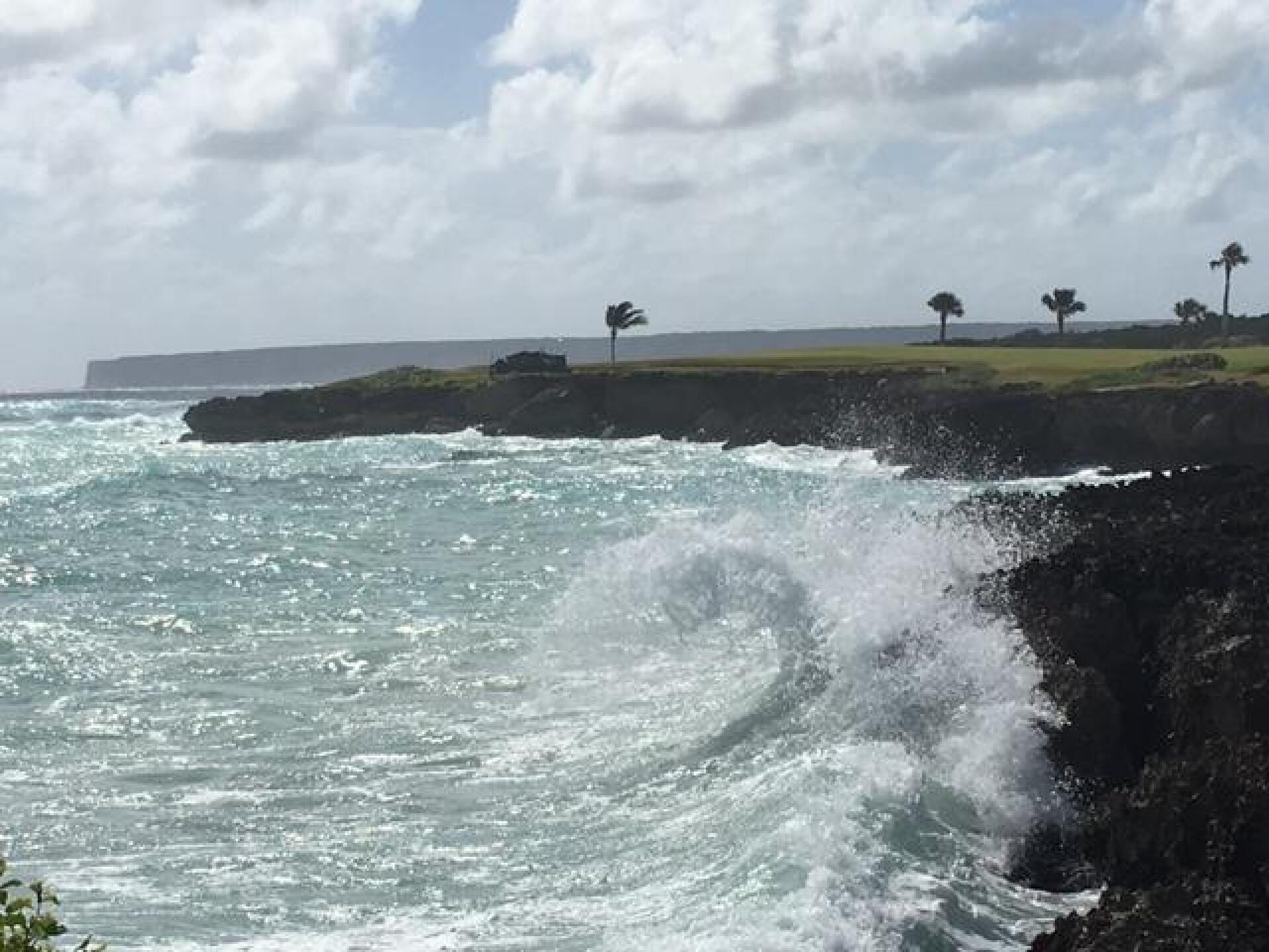 (Photo submitted by LICC on 03/02/2017)