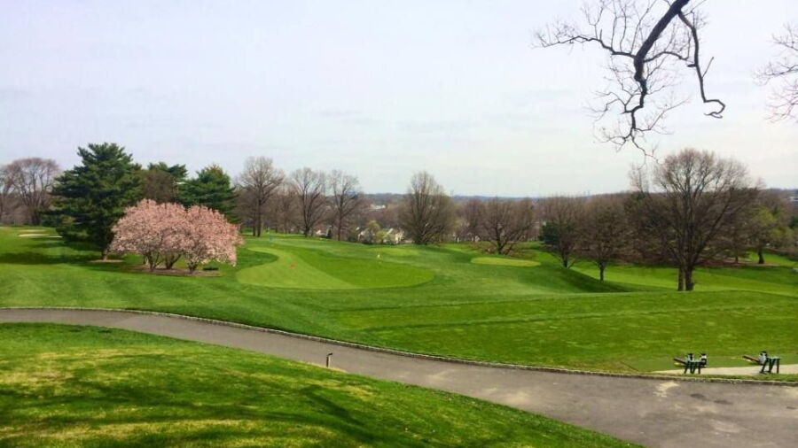 Forest Hill Field Club