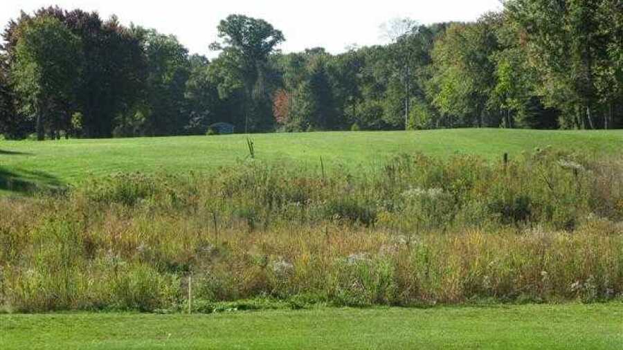 Sylvan Glen: 3rd tee