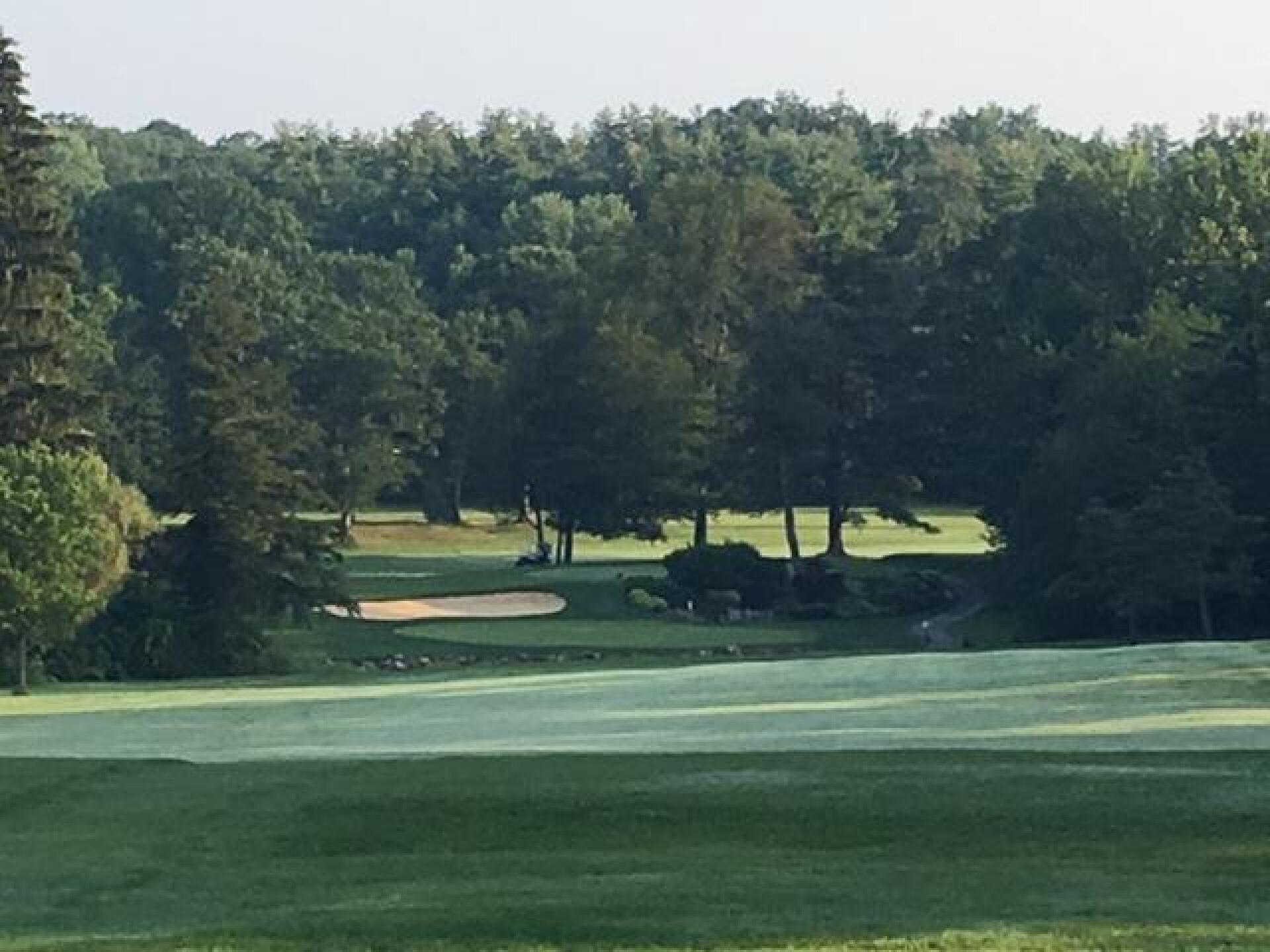 (Photo submitted by LICC on 08/14/2017)