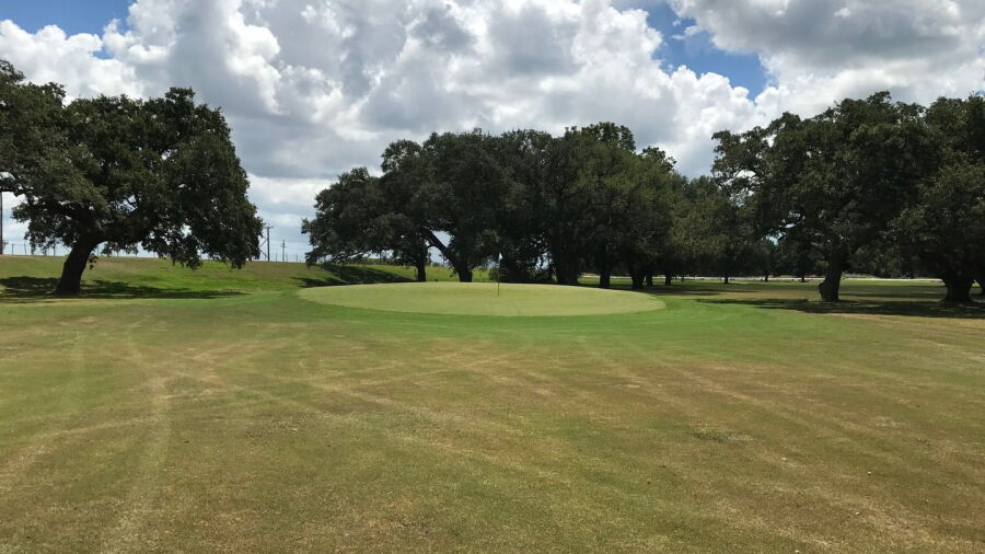 Bay-Cel GC