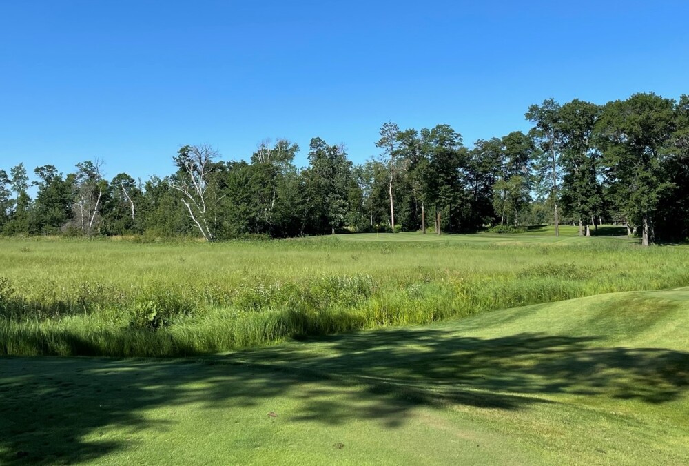 The White Course on the Dutch Legacy 27 at Cragun's Resort On Gull Lake - wetlands 
