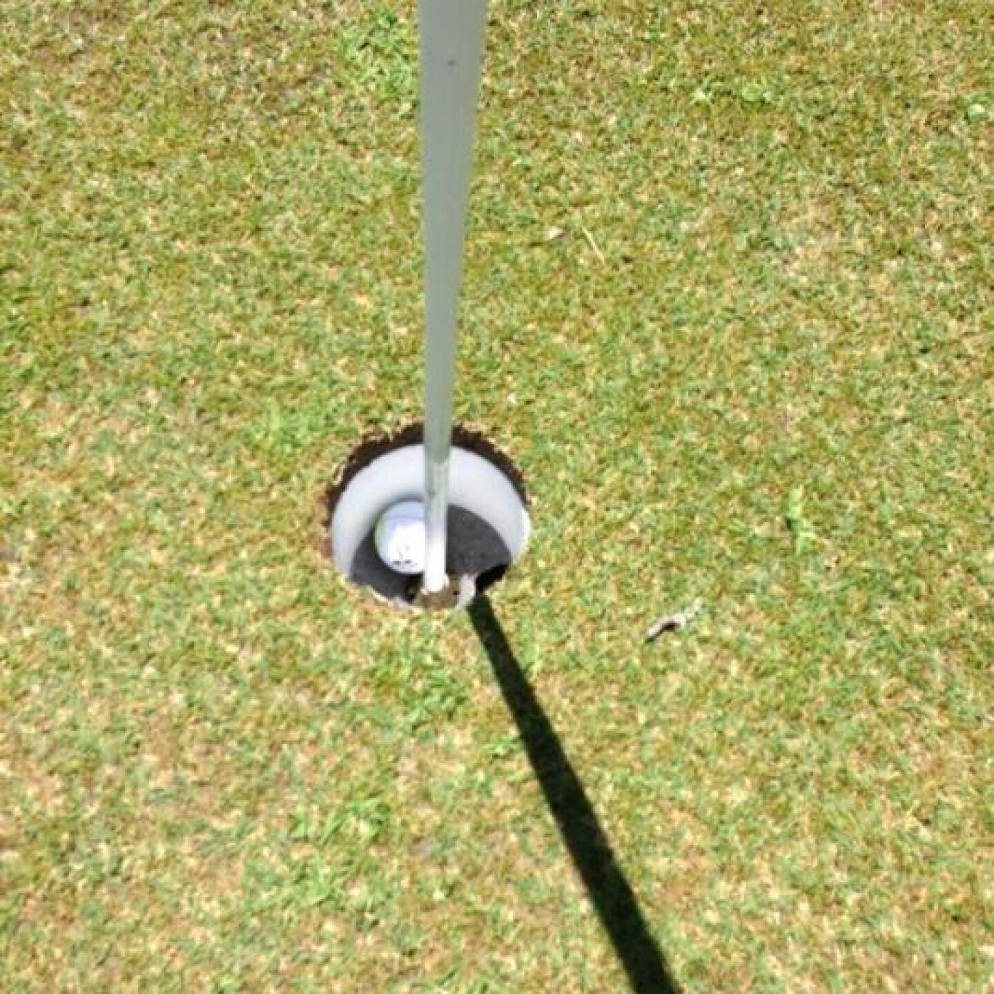 My eagle has landed! (Photo submitted by u000006818584 on 06/06/2013)