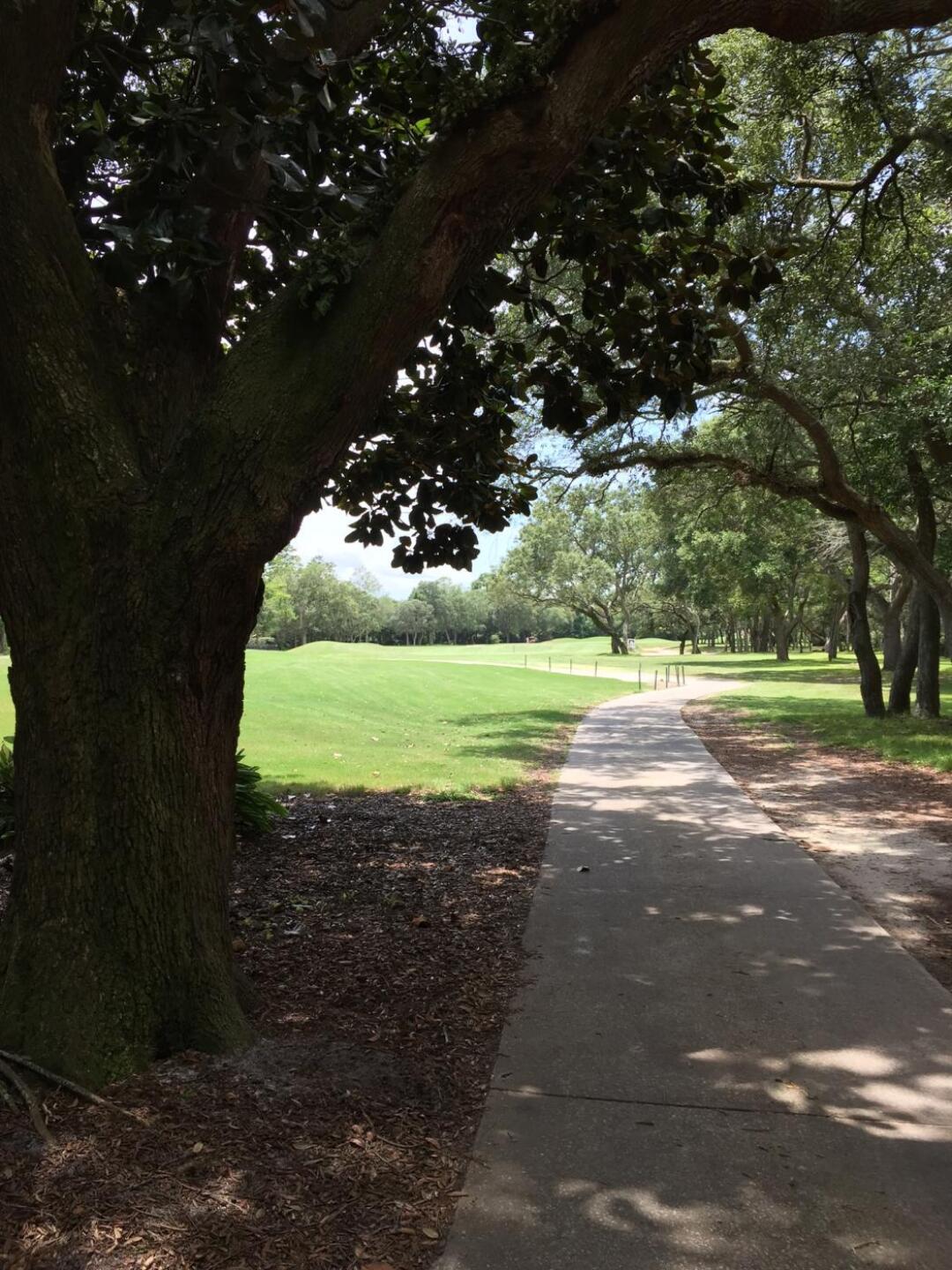 (Photo submitted by u8382922 on 10/14/2019)