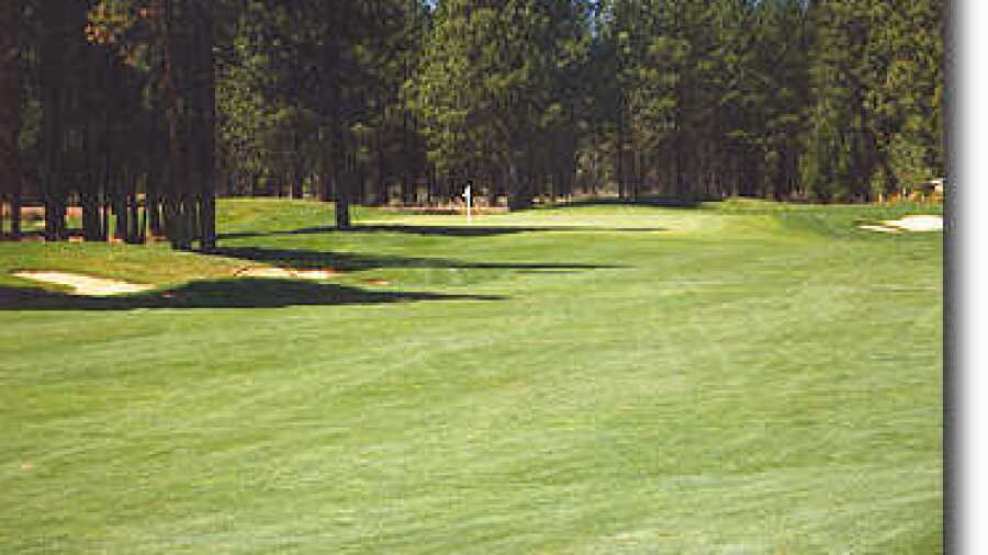 Widgi Creek #1