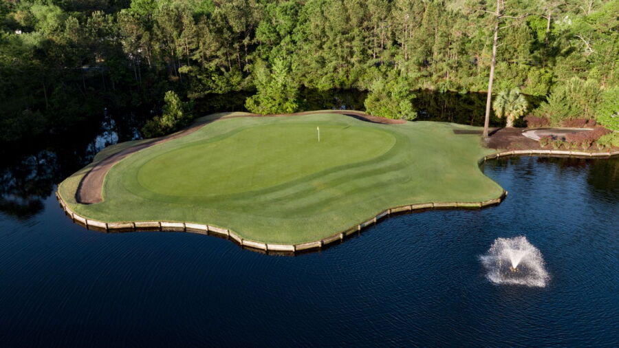 Tradition GC: #7