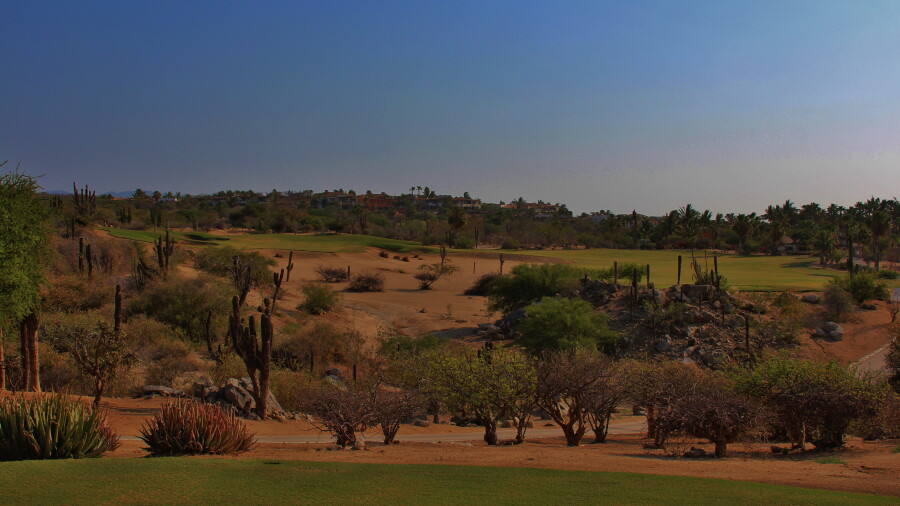 Ocean golf course at Cabo del Sol - hole 11