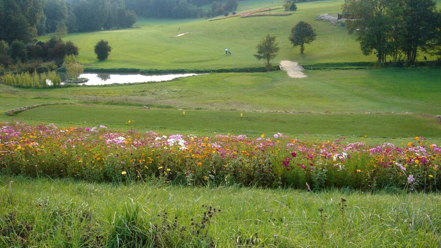 Champagne GC: #12