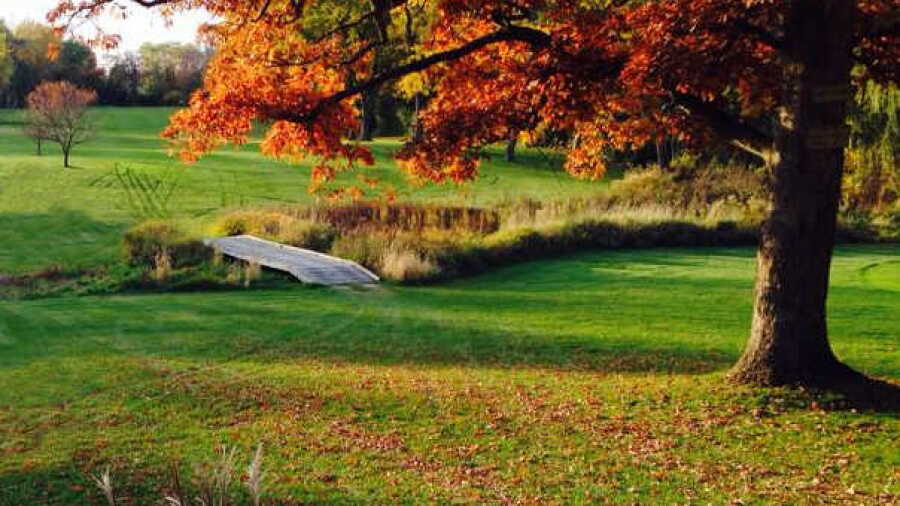 Lake Zurich GC
