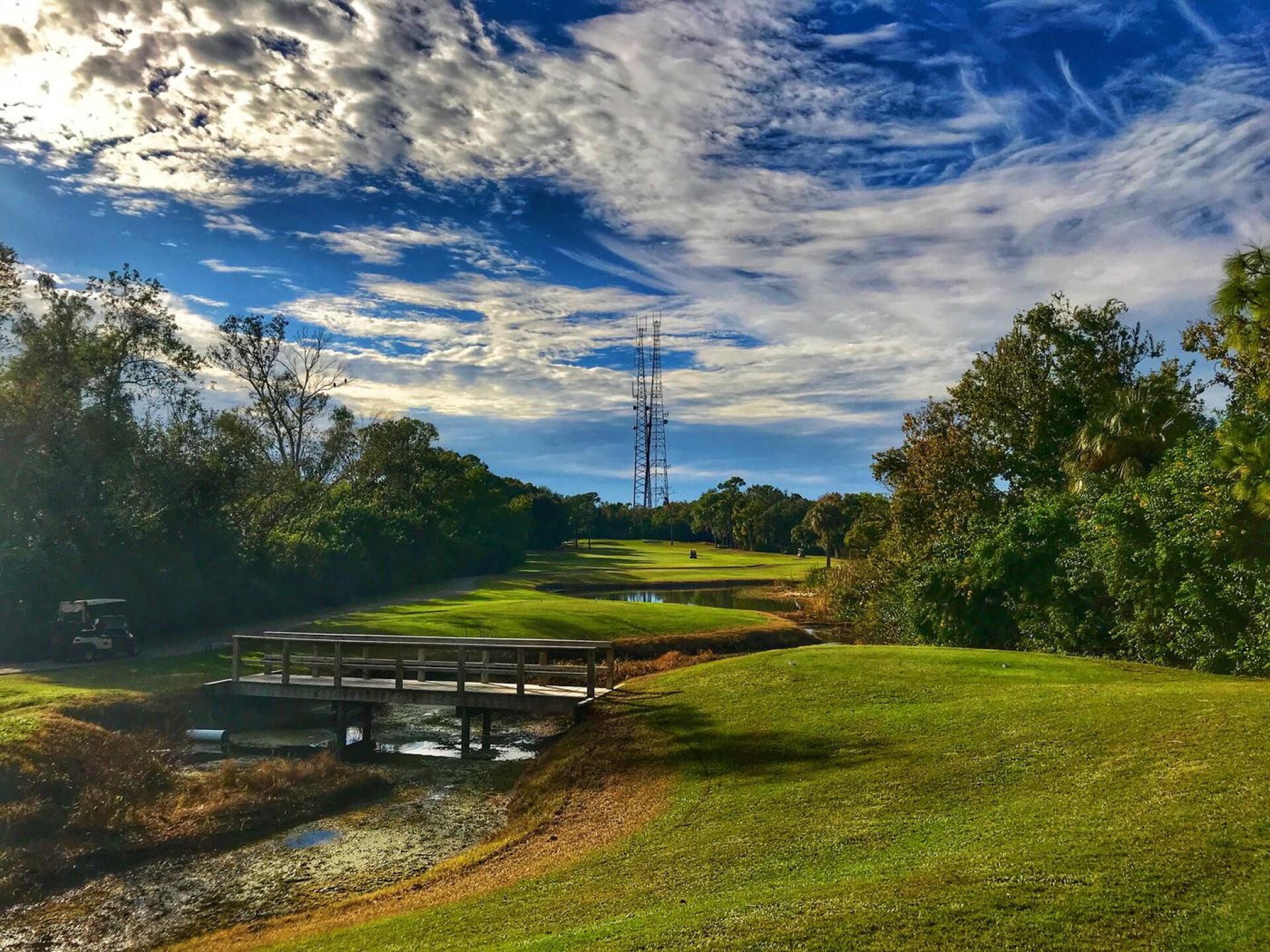 Innisbrook Resort (South), hole 14 (Photo submitted by TimGavrichGP on 03/15/2019)