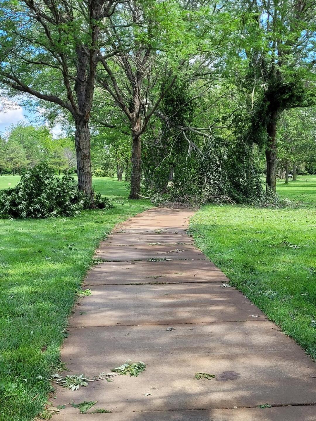 (Photo submitted by SirBrandon on 07/11/2021)